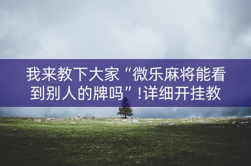 我来教下大家“微乐麻将能看到别人的牌吗”!详细开挂教程-知乎