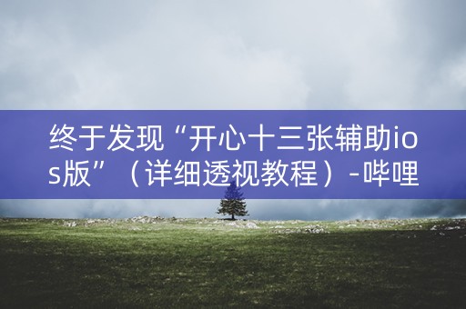 终于发现“开心十三张辅助ios版”（详细透视教程）-哔哩哔哩