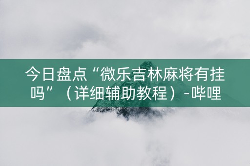 今日盘点“微乐吉林麻将有挂吗”（详细辅助教程）-哔哩哔哩