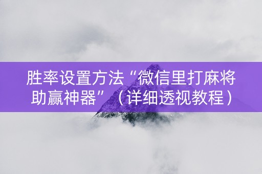 胜率设置方法“微信里打麻将助赢神器”（详细透视教程）-哔哩哔哩