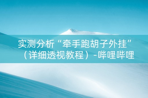 实测分析“牵手跑胡子外挂”（详细透视教程）-哔哩哔哩