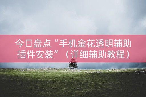 今日盘点“手机金花透明辅助插件安装”（详细辅助教程）-哔哩哔哩