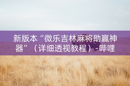新版本“微乐吉林麻将助赢神器”（详细透视教程）-哔哩哔哩