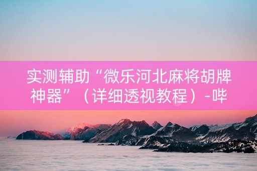 实测辅助“微乐河北麻将胡牌神器”（详细透视教程）-哔哩哔哩