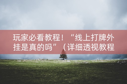 玩家必看教程！“线上打牌外挂是真的吗”（详细透视教程）-哔哩哔哩