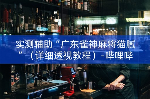 实测辅助“广东雀神麻将猫腻”（详细透视教程）-哔哩哔哩
