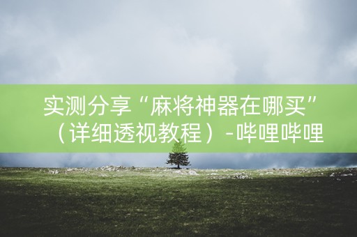 实测分享“麻将神器在哪买”（详细透视教程）-哔哩哔哩