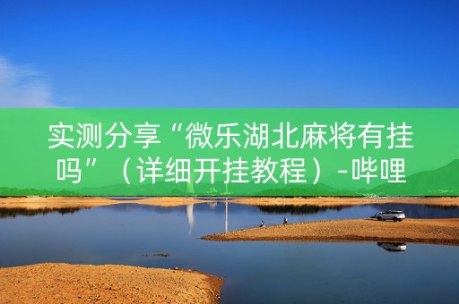 实测分享“微乐湖北麻将有挂吗”（详细开挂教程）-哔哩哔哩
