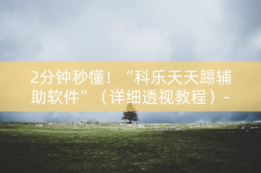 2分钟秒懂！“科乐天天踢辅助软件”（详细透视教程）-哔哩哔哩