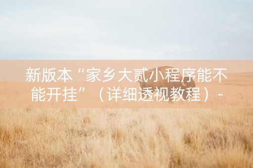 新版本“家乡大贰小程序能不能开挂”（详细透视教程）-哔哩哔哩