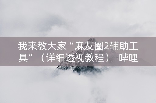 我来教大家“麻友圈2辅助工具”（详细透视教程）-哔哩哔哩