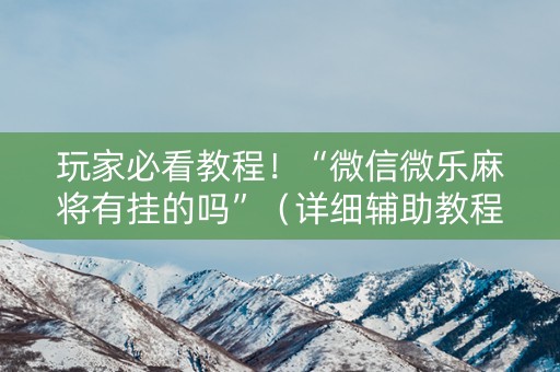 玩家必看教程！“微信微乐麻将有挂的吗”（详细辅助教程）-哔哩哔哩