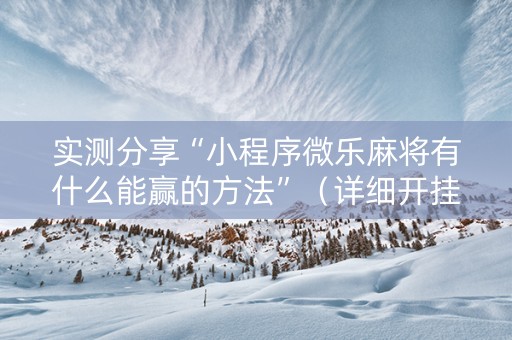 实测分享“小程序微乐麻将有什么能赢的方法”（详细开挂教程）-哔哩哔哩