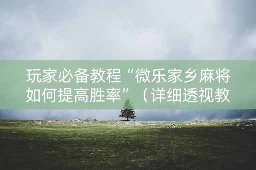 玩家必备教程“微乐家乡麻将如何提高胜率”（详细透视教程）-哔哩哔哩