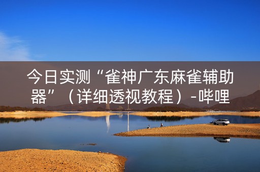 今日实测“雀神广东麻雀辅助器”（详细透视教程）-哔哩哔哩