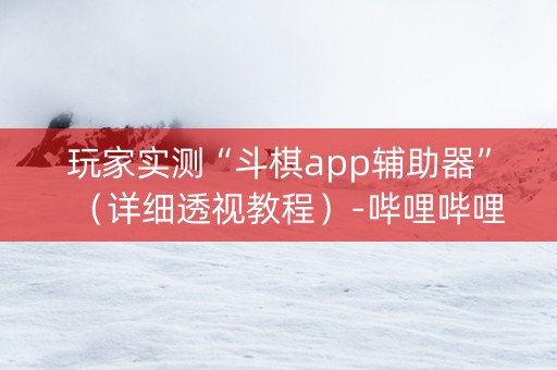 玩家实测“斗棋app辅助器”（详细透视教程）-哔哩哔哩