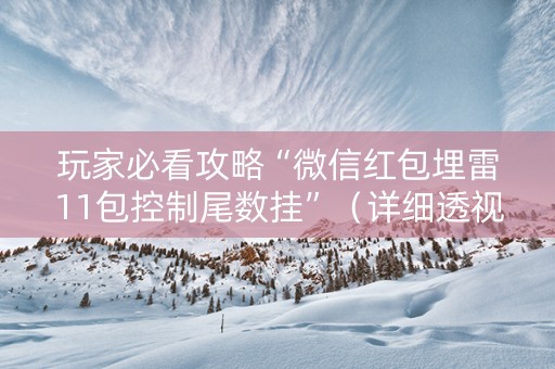 玩家必看攻略“微信红包埋雷11包控制尾数挂”（详细透视教程）-哔哩哔哩