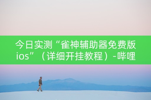 今日实测“雀神辅助器免费版ios”（详细开挂教程）-哔哩哔哩