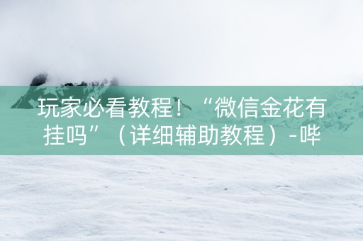 玩家必看教程！“微信金花有挂吗”（详细辅助教程）-哔哩哔哩