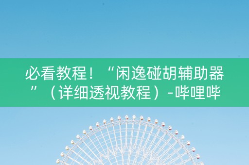 必看教程！“闲逸碰胡辅助器”（详细透视教程）-哔哩哔哩