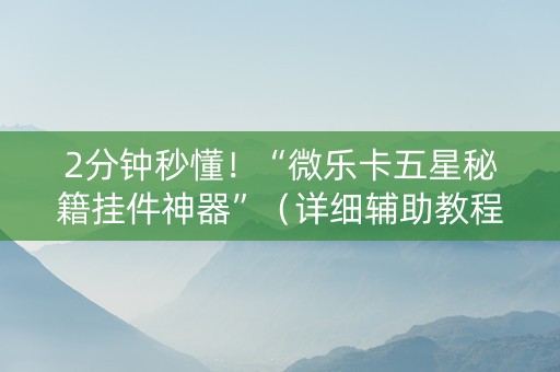 2分钟秒懂！“微乐卡五星秘籍挂件神器”（详细辅助教程）-哔哩哔哩