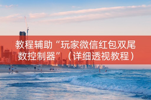 教程辅助“玩家微信红包双尾数控制器”（详细透视教程）-哔哩哔哩
