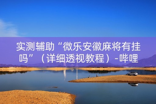 实测辅助“微乐安徽麻将有挂吗”（详细透视教程）-哔哩哔哩