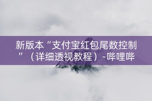 新版本“支付宝红包尾数控制”（详细透视教程）-哔哩哔哩