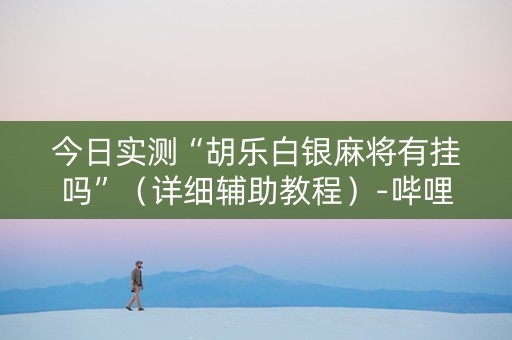 今日实测“胡乐白银麻将有挂吗”（详细辅助教程）-哔哩哔哩