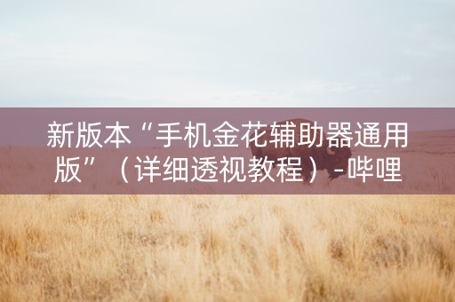 新版本“手机金花辅助器通用版”（详细透视教程）-哔哩哔哩