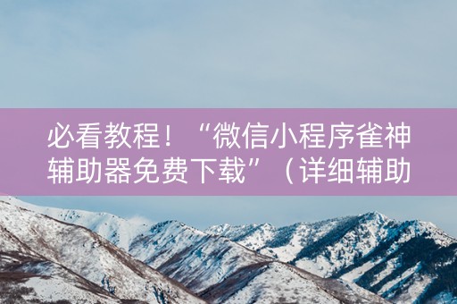 必看教程！“微信小程序雀神辅助器免费下载”（详细辅助教程）-哔哩哔哩