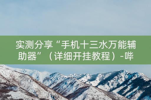 实测分享“手机十三水万能辅助器”（详细开挂教程）-哔哩哔哩