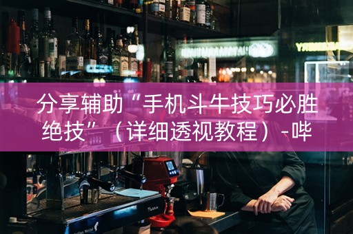 分享辅助“手机斗牛技巧必胜绝技”（详细透视教程）-哔哩哔哩