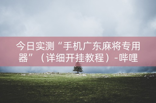 今日实测“手机广东麻将专用器”（详细开挂教程）-哔哩哔哩