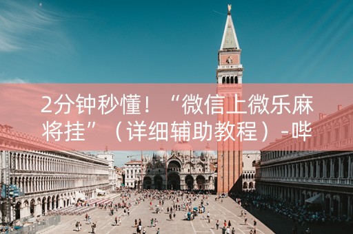 2分钟秒懂！“微信上微乐麻将挂”（详细辅助教程）-哔哩哔哩