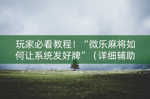 玩家必看教程！“微乐麻将如何让系统发好牌”（详细辅助教程）-哔哩哔哩