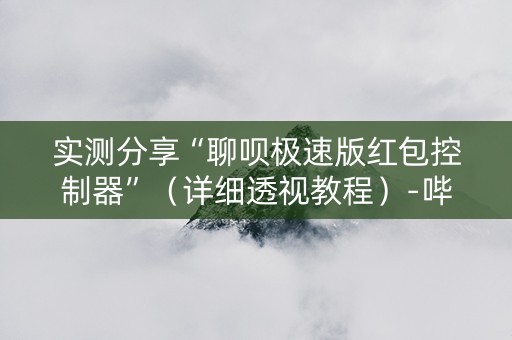 实测分享“聊呗极速版红包控制器”（详细透视教程）-哔哩哔哩