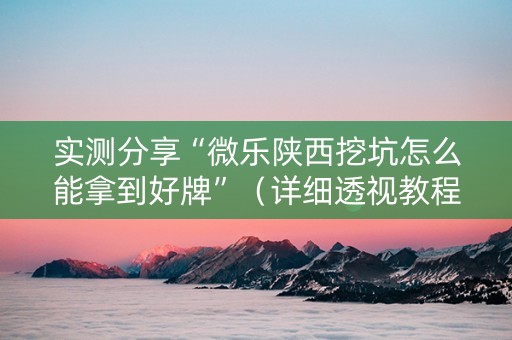 实测分享“微乐陕西挖坑怎么能拿到好牌”（详细透视教程）-哔哩哔哩