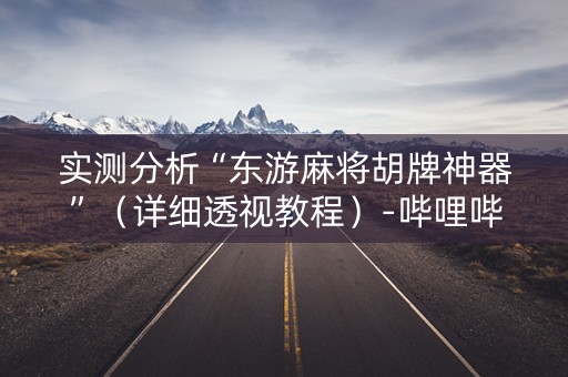 实测分析“东游麻将胡牌神器”（详细透视教程）-哔哩哔哩