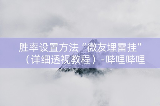 胜率设置方法“微友埋雷挂”（详细透视教程）-哔哩哔哩