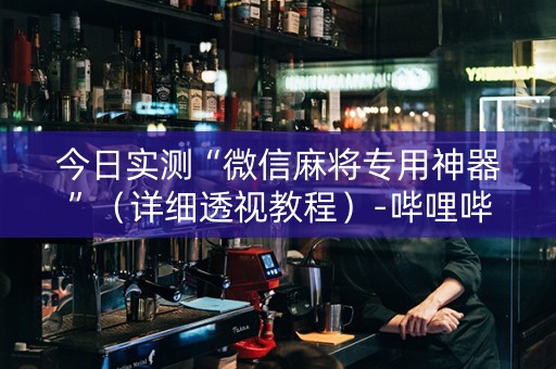 今日实测“微信麻将专用神器”（详细透视教程）-哔哩哔哩