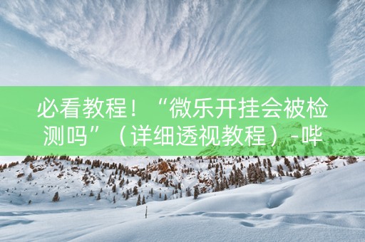 必看教程！“微乐开挂会被检测吗”（详细透视教程）-哔哩哔哩