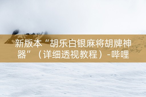 新版本“胡乐白银麻将胡牌神器”（详细透视教程）-哔哩哔哩