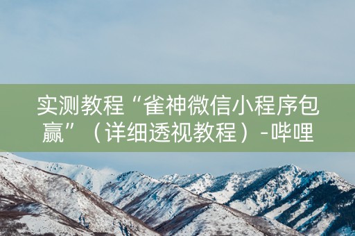实测教程“雀神微信小程序包赢”（详细透视教程）-哔哩哔哩