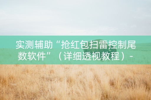 实测辅助“抢红包扫雷控制尾数软件”（详细透视教程）-哔哩哔哩