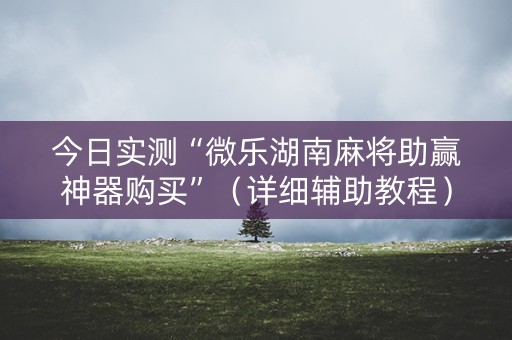今日实测“微乐湖南麻将助赢神器购买”（详细辅助教程）-哔哩哔哩