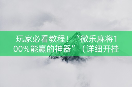 玩家必看教程！“微乐麻将100%能赢的神器”（详细开挂教程）-哔哩哔哩