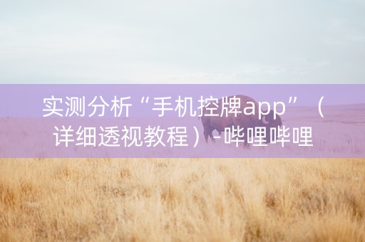 实测分析“手机控牌app”（详细透视教程）-哔哩哔哩
