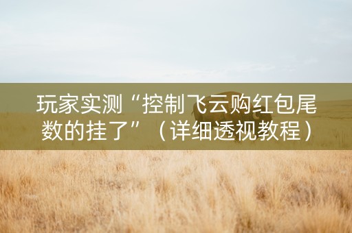 玩家实测“控制飞云购红包尾数的挂了”（详细透视教程）-哔哩哔哩