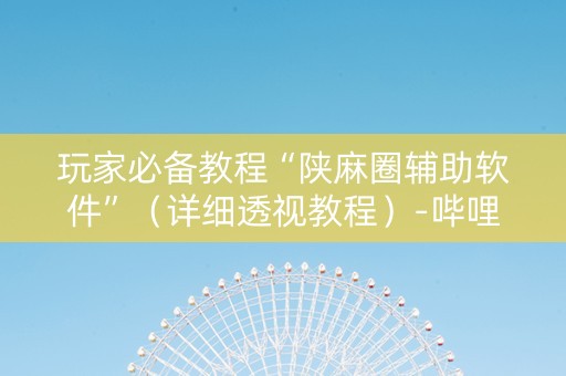玩家必备教程“陕麻圈辅助软件”（详细透视教程）-哔哩哔哩